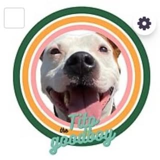 itstitoactually_@kilogram.makeup